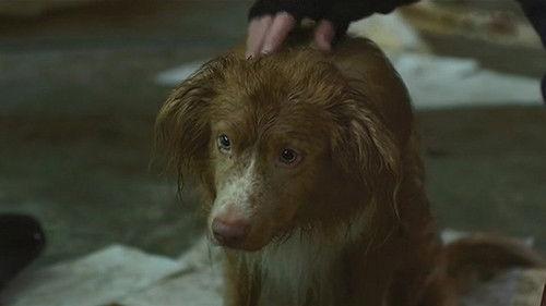 Secrecy of the Investigation Season 19 Episode 15 - Episode 15