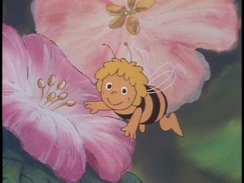 Maya the Bee Season 2 Episode 51 - Jacob's Paradise