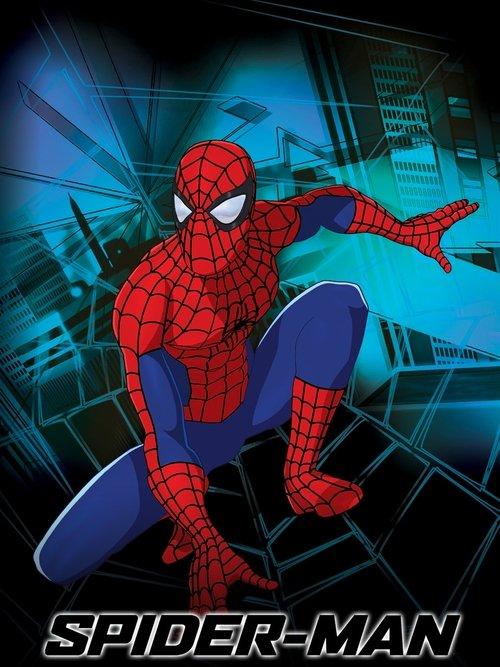 Spider-Man: The New Animated Series poster