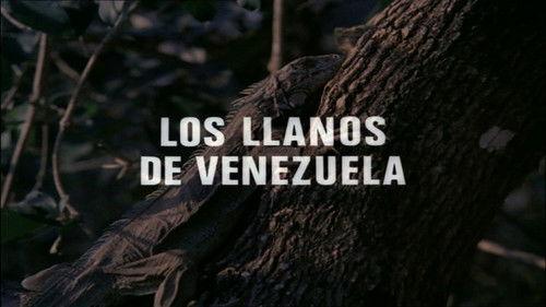 El hombre y la Tierra Season 1 Episode 13 - Episode 13