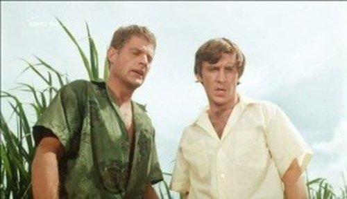 Hawaii Five-O Season 1 Episode 5 - Tiger By The Tail