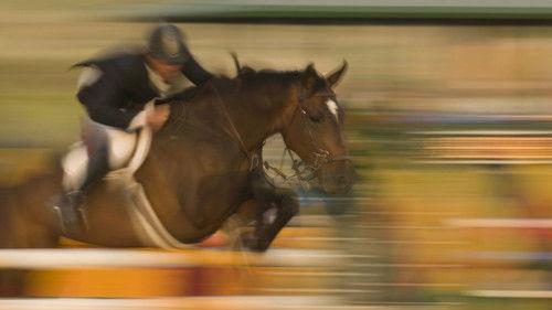 Nature Season 21 Episode 2 - Horse and Rider