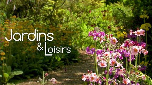 Jardins & Loisirs Season 25 Episode 20 - Episode 20