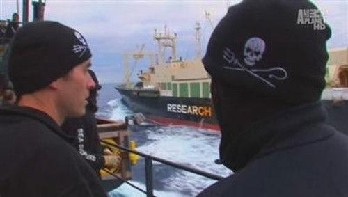 Whale Wars Season 1 Episode 7 - Boiling Point