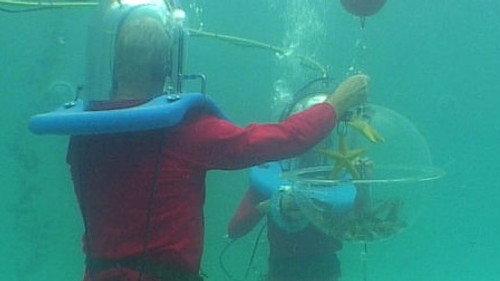 I'm a Celebrity...Get Me Out of Here! Season 7 Episode 14 - Dreaded Water