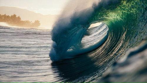 Background image for The Wave