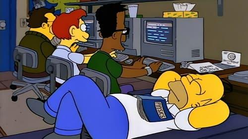 The Simpsons Season 5 Episode 3 - Homer Goes to College