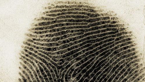 NOVA Season 40 Episode 2 - Forensics on Trial