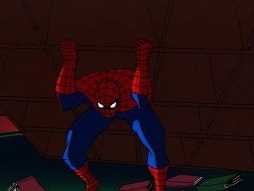 Background image for Partners in Danger: The Cat (1)