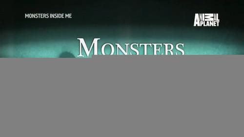 Monsters Inside Me Season 7 Episode 7 - Holiday from Hell