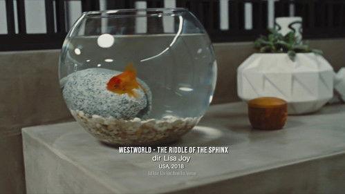 Women Make Film: A New Road Movie Through Cinema Season 1 Episode 12 - Reveal, Memory, Time