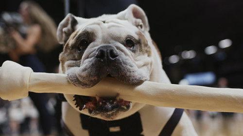 Dogs Season 2 Episode 1 - Much Ado About Blue