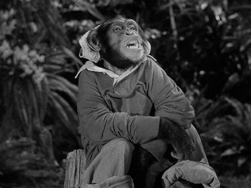 Gilligan's Island Season 1 Episode 3 - Voodoo Something To Me