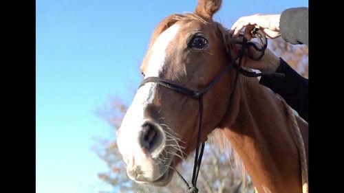 Magical Japanese Season 2 Episode 14 - Horse