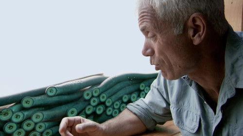 River Monsters Season 5 Episode 4 - Vampires of the Deep