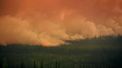 Gold Rush Season 10 Episode 7 - Motherlode Mountain