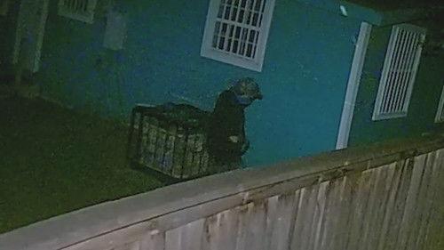 Killer Cases Season 4 Episode 11 - Her Husband's Murder