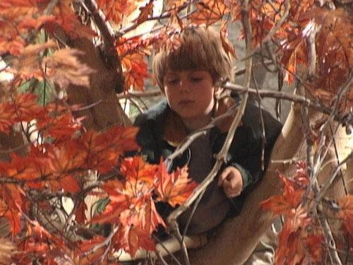 Home Improvement Season 2 Episode 9 - Where There's a Will, There's a Way