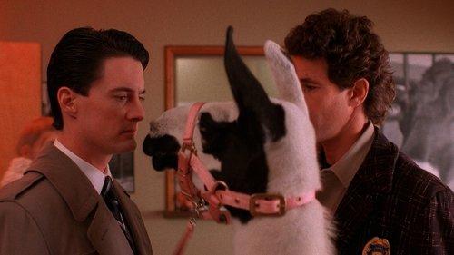 Twin Peaks Season 1 Episode 5 - The One-Armed Man