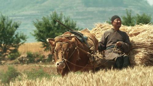 This Thriving Land Season 1 Episode 31 - Episode 31