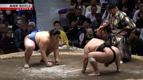 GRAND SUMO Highlights Season 21 Episode 9 - Day 9