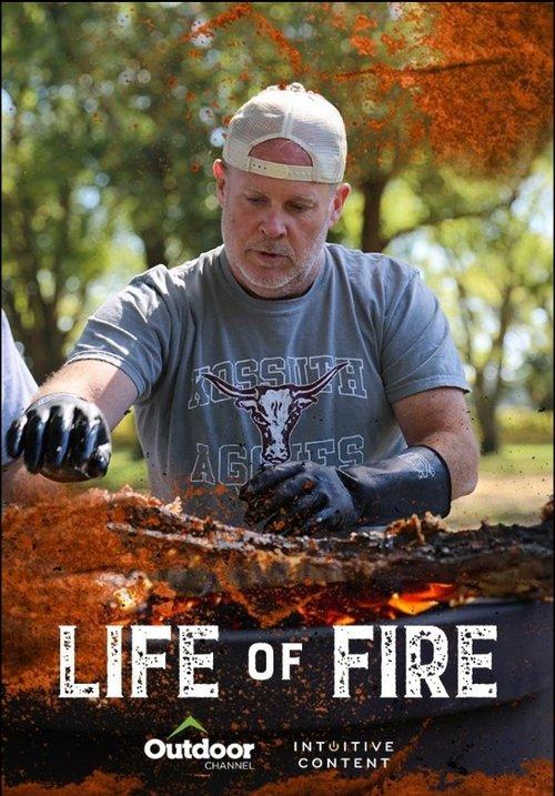 Life of Fire poster
