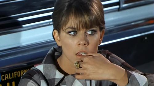 Adam-12 Season 1 Episode 16 - Log 062: Grand Theft Horse?