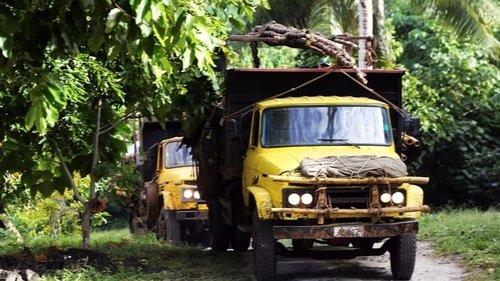 Australian Survivor Season 1 Episode 1 - Episode 1