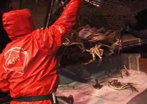 Deadliest Catch Season 4 Episode 3 - A Numbers Game