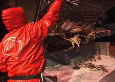 Deadliest Catch Season 4 Episode 3 - A Numbers Game