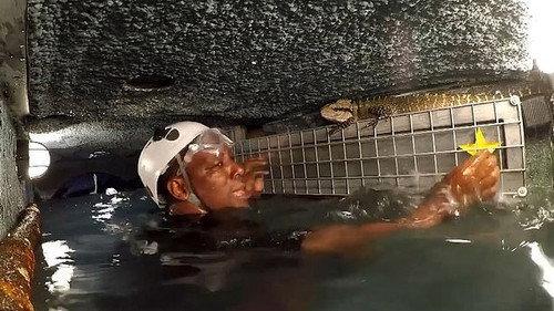 I'm a Celebrity...Get Me Out of Here! Season 19 Episode 8 - Crevice of Cruelty