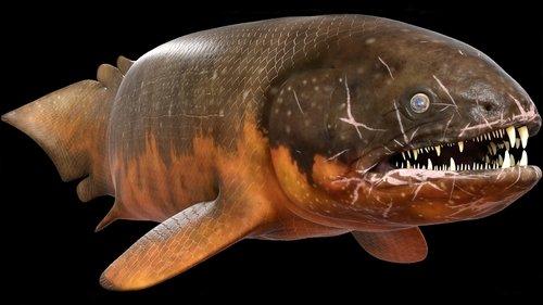 River Monsters Season 7 Episode 3 - Prehistoric Terror
