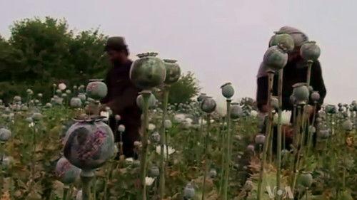 Declassified: Untold Stories of American Spies Season 2 Episode 4 - Haji Bagcho: The Godfather of Heroin