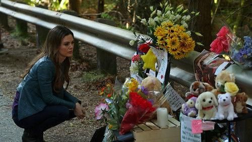 Take Two Season 1 Episode 8 - All About Ava