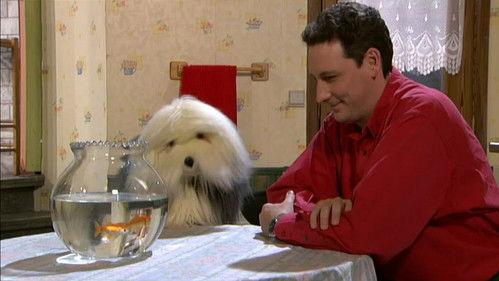 Samson & Gert Season 14 Episode 18 - De kwaaie brief