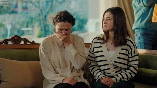 Street Birds Season 1 Episode 7 - Episode 7