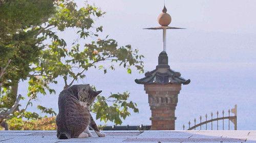 A Cat's-Eye View of Japan Season 3 Episode 16 - Hakodate: The Bounties of a Seaside City