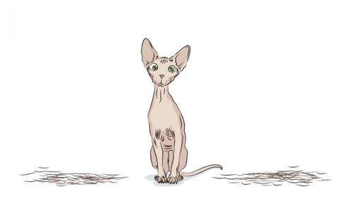 Libres! Manifeste pour s'affranchir des diktats sexuels Season 1 Episode 10 - Episode 10