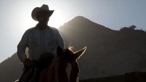 MeatEater Season 2 Episode 3 - Crossing Borders: Mexican Bison