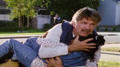 Picket Fences Season 4 Episode 4 - Bloodbrothers