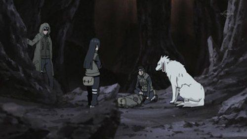 Naruto Shippūden Season 13 Episode 279 - White Zetsu's Trap