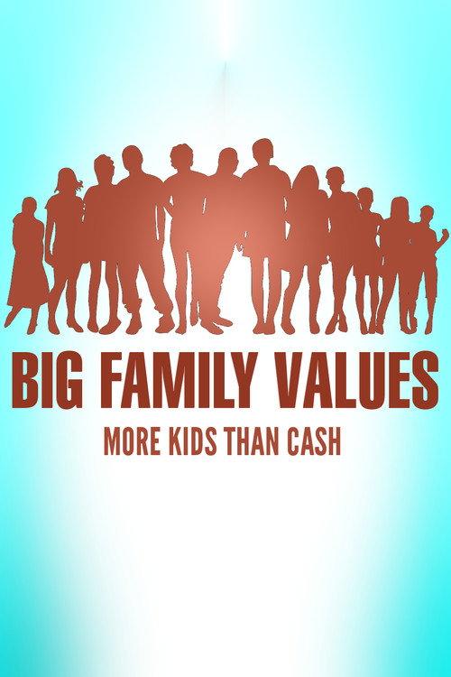 Big Family Values: More Kids Than Cash poster