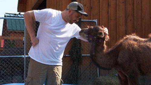 Impractical Jokers Season 7 Episode 20 - Hump Day