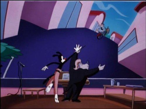 Animaniacs Season 5 Episode 21 - Birds On A Wire