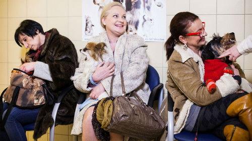 Galeria Season 3 Episode 18 - Episode 18