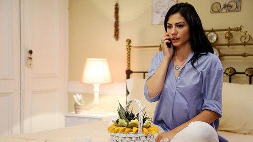 No: 309 Season 1 Episode 15 - Episode 15