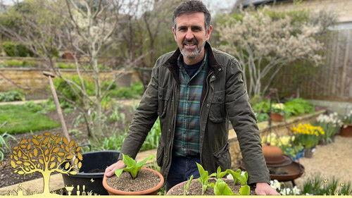Gardeners' World Season 57 Episode 4 - Episode 4