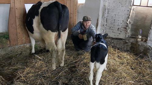 Frank & Kastaniegaarden Season 16 Episode 9 - Episode 9