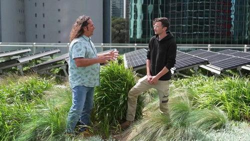Gardening Australia Season 34 Episode 2 - Episode 2 Frog, Ties, Heatwave, Incline & Solar Panels