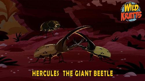 Wild Kratts Season 5 Episode 16 - Hercules – The Giant Beetle